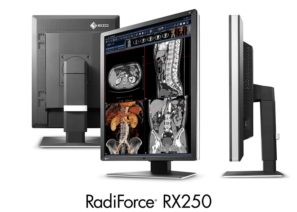 RadiForce RX250 - 21.3" Color LCD Monitor