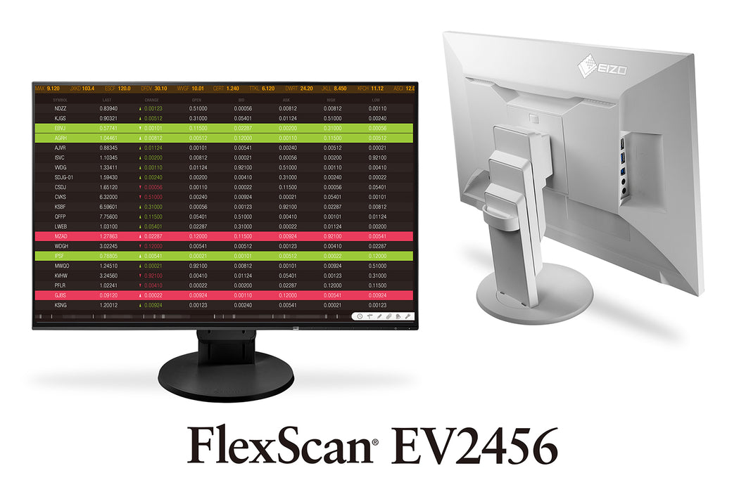 EIZO - FlexScan EV2456/EP 24.1"